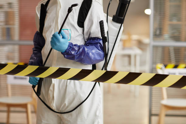 Professional Sewage Cleanup technician working in Naples, FL